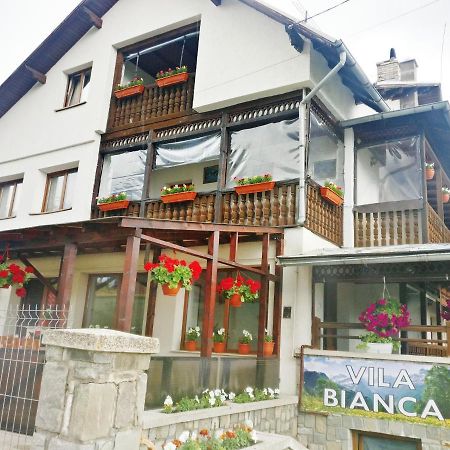 Bianca House Otel Buşteni Dış mekan fotoğraf