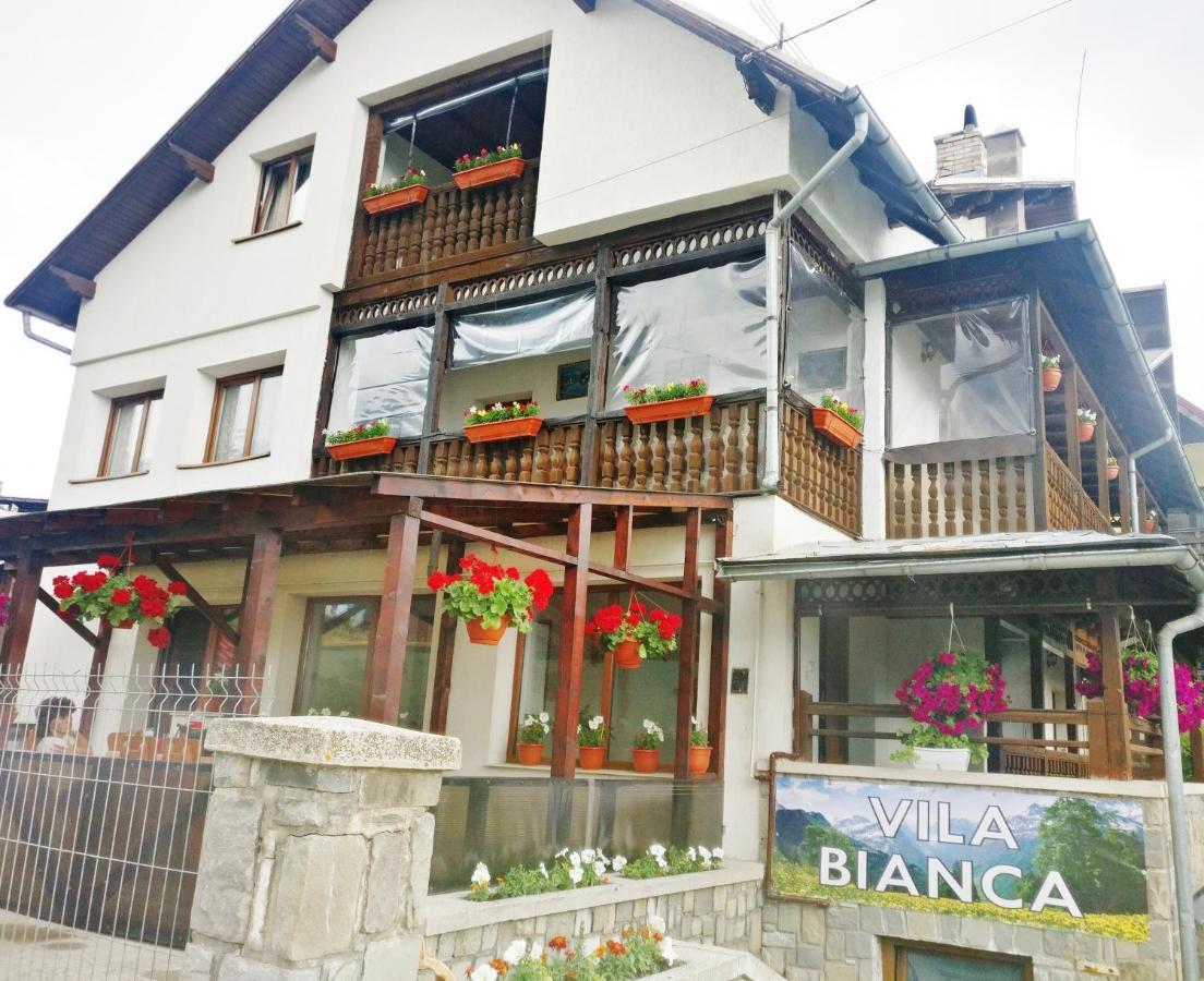 Bianca House Otel Buşteni Dış mekan fotoğraf