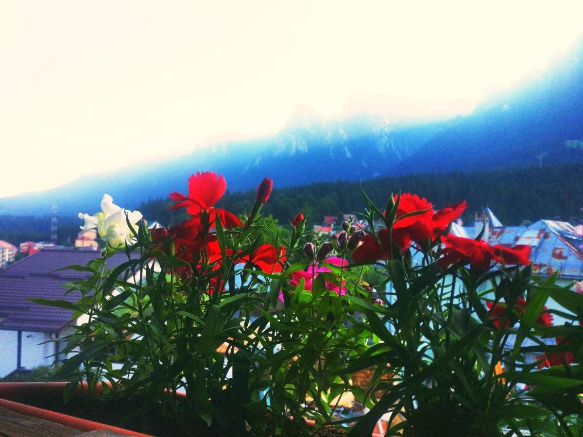 Bianca House Otel Buşteni Dış mekan fotoğraf