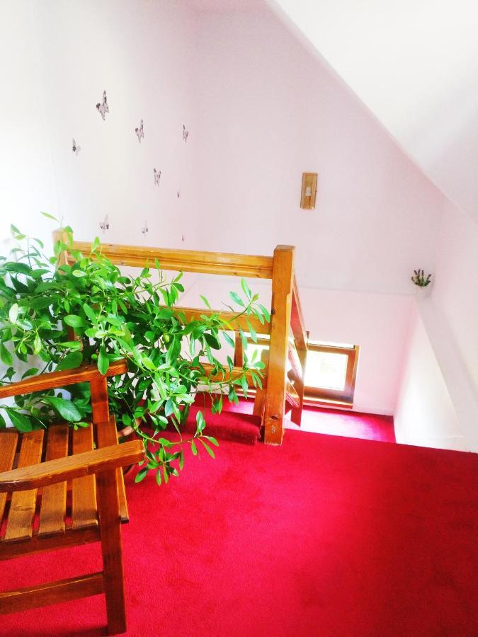 Bianca House Otel Buşteni Dış mekan fotoğraf