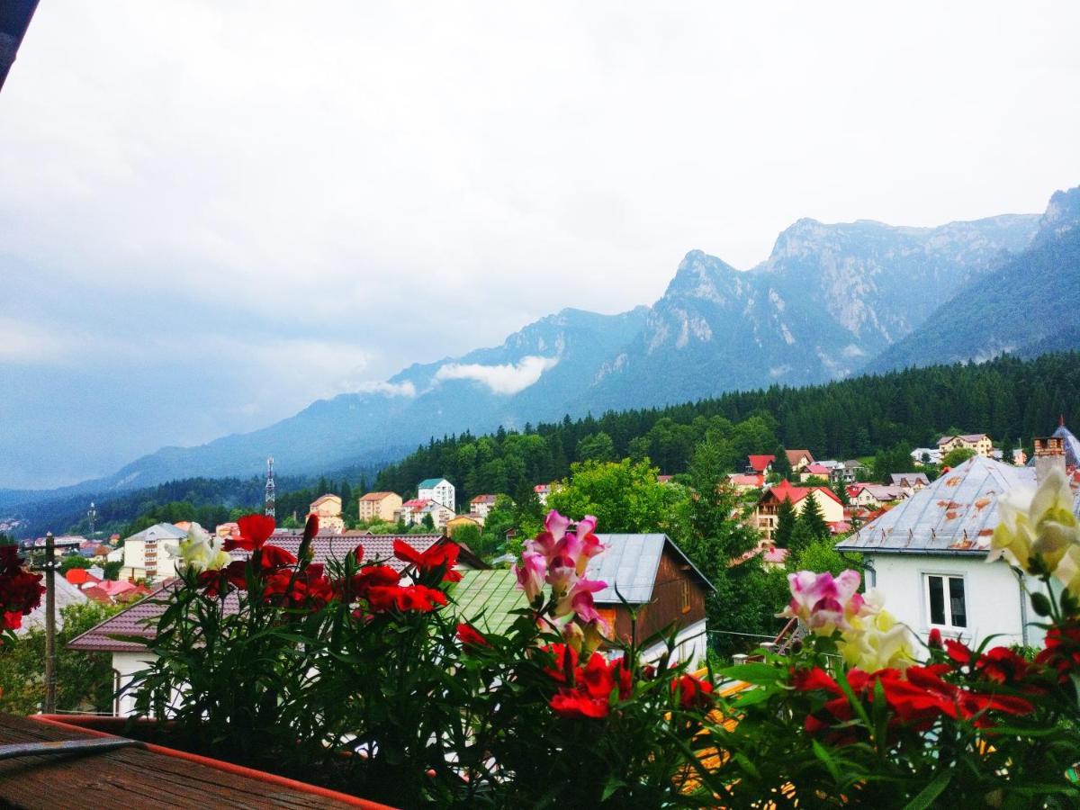 Bianca House Otel Buşteni Dış mekan fotoğraf