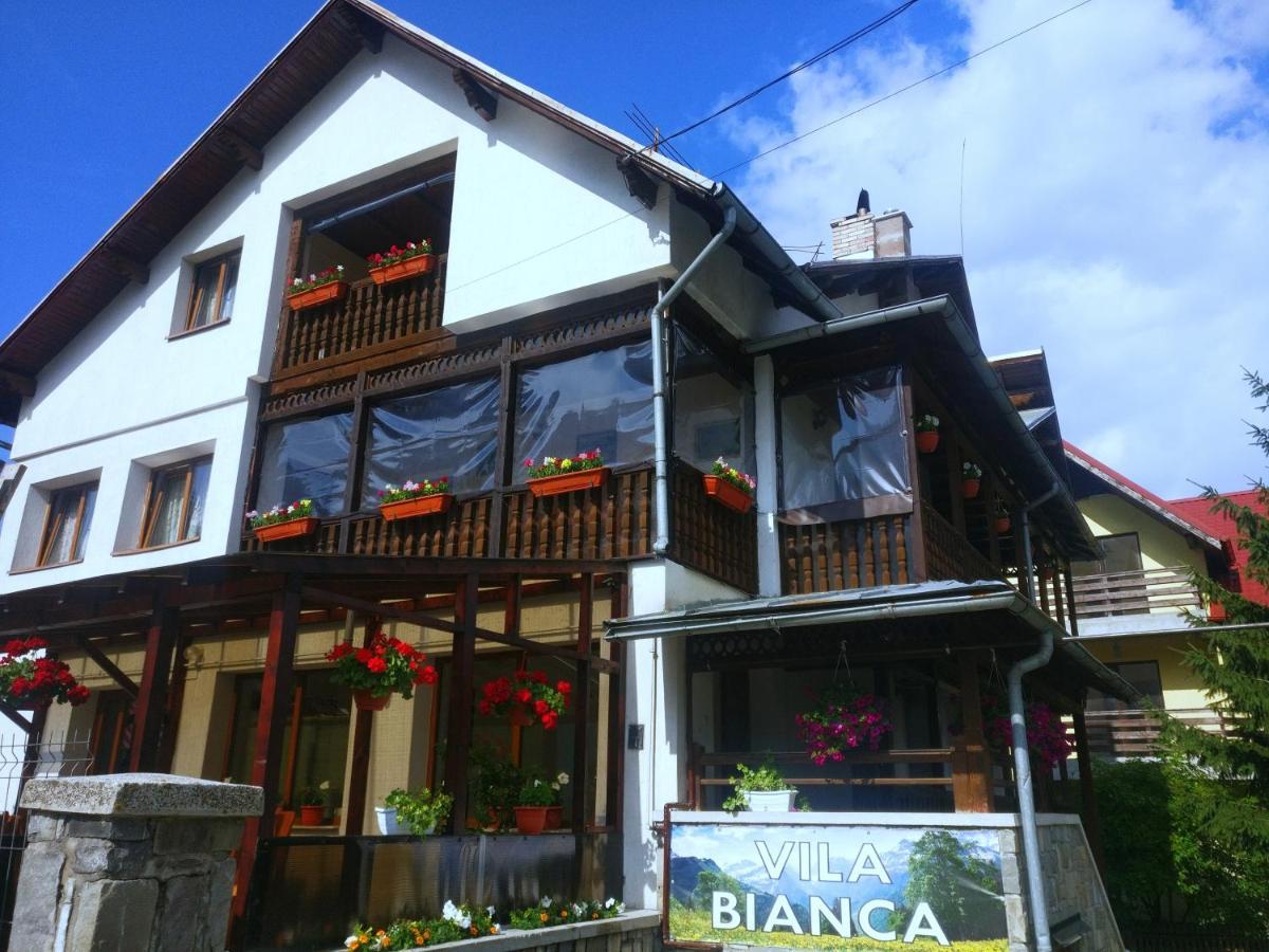 Bianca House Otel Buşteni Dış mekan fotoğraf