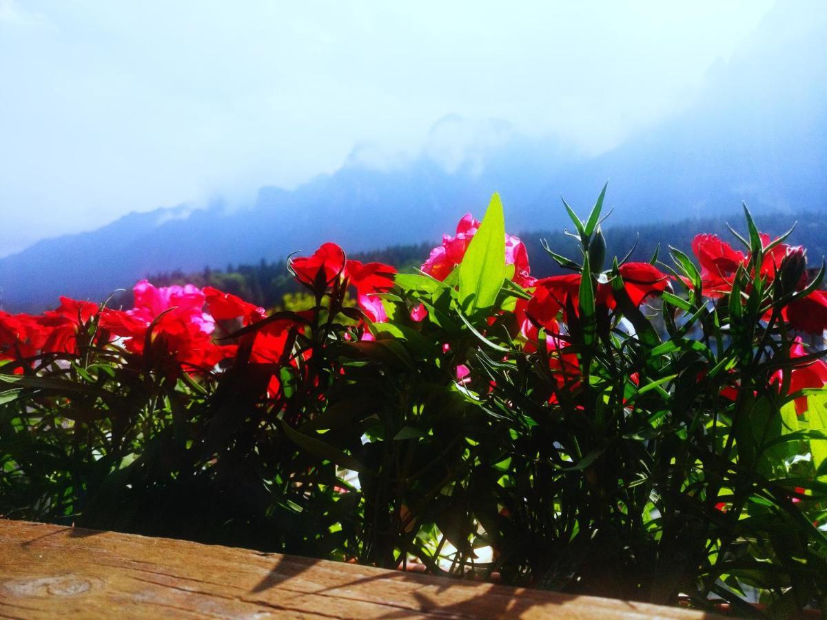 Bianca House Otel Buşteni Dış mekan fotoğraf