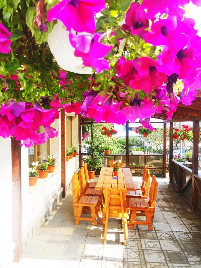 Bianca House Otel Buşteni Dış mekan fotoğraf